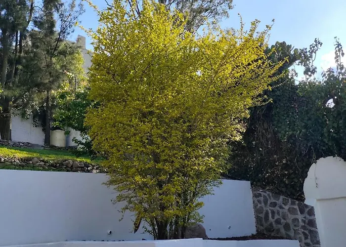 Residencia águilas *